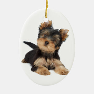 Niedlicher yorkie Welpe Keramikornament