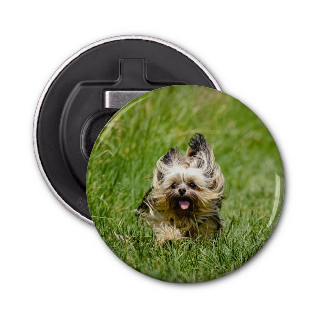 Niedlicher Yorkshire Terrier, der durch Gras läuft Flaschenöffner (Vorderseite)
