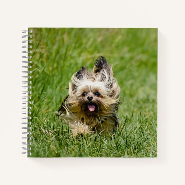 Niedlicher Yorkshire Terrier, der durch Gras läuft Notizbuch (Vorderseite)