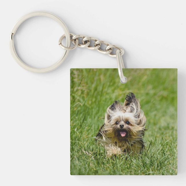 Niedlicher Yorkshire Terrier, der durch Gras läuft Schlüsselanhänger (Vorderseite)