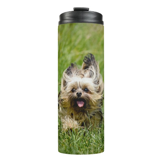 Niedlicher Yorkshire Terrier, der durch Gras läuft Thermosbecher (Vorderseite)