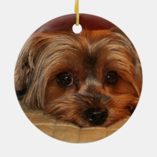 Niedlicher Yorkshire-Terrier-Hund Keramik Ornament