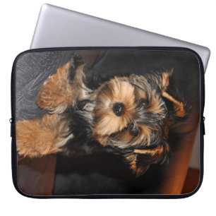 Niedlicher Yorkshire-Terrier-Welpen-Hund Laptopschutzhülle