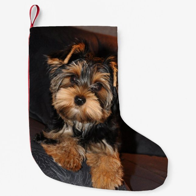 Niedlicher Yorkshire-Terrier Yorkie Welpen-Hund Kleiner Weihnachtsstrumpf (Vorderseite)