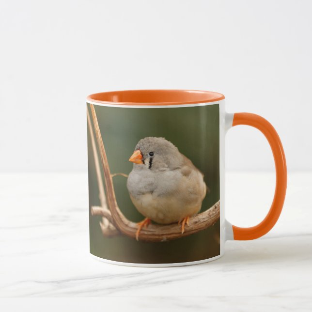Niedlicher Zebra Finch Songbird Hübsch sitzen Tasse (Rechts)