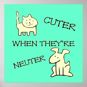 Niedlicheres Poster