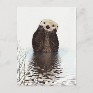 Niedliches Adorable Fluffy Otter Animal Postkarte