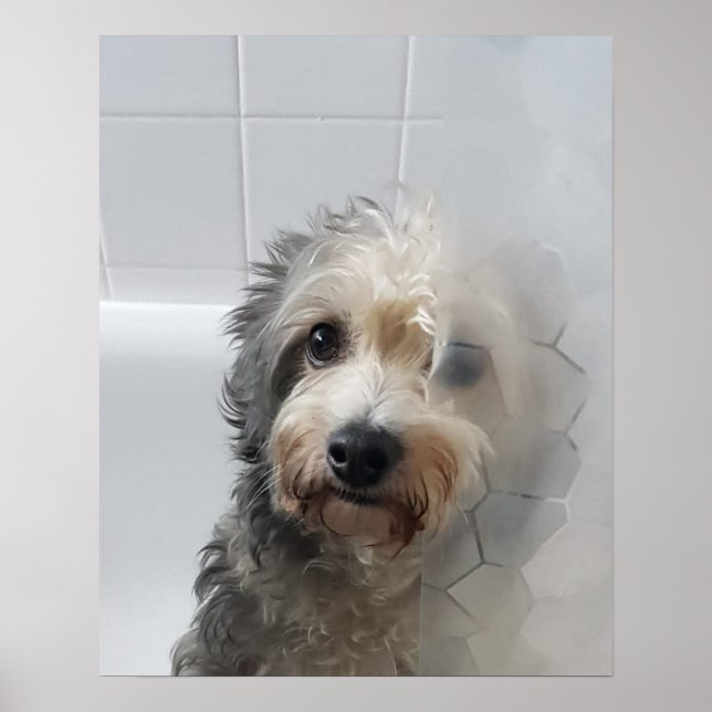 Niedliches Adortiment West Highland White Terrier  Poster (Vorne)