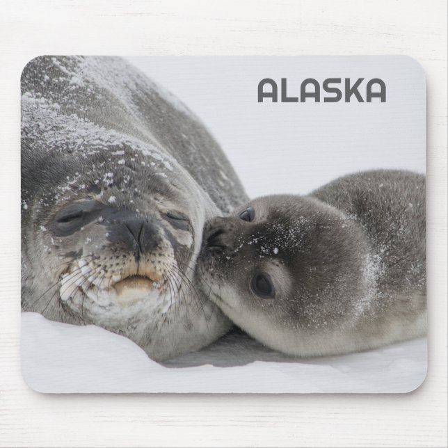 Niedliches Alaska Baby Siegel und Mama Mouse Pad Mousepad (Vorne)