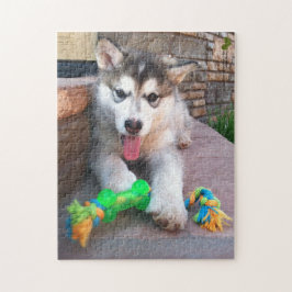 Niedliches Alaskan Malamute Puppy Nah-Up-Foto Puzzle
