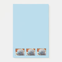 Niedliches Alpaca Baby in Blue