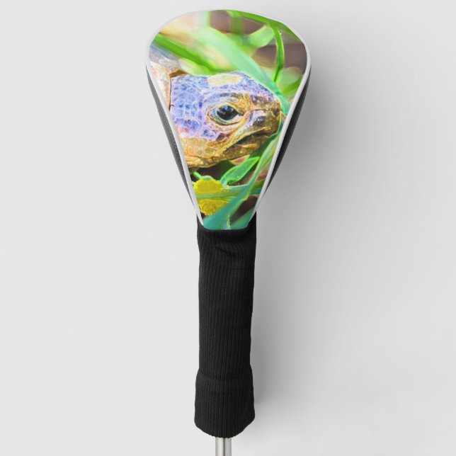 Niedliches Angulate Tortoise Südafrika Details Golf Headcover (Vorderseite)