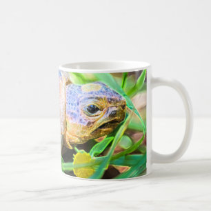 Niedliches Angulate Tortoise Südafrika Details Kaffeetasse