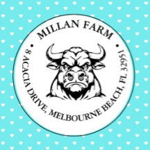 Niedliches Angus Bull-Thema