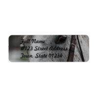 Niedliches Appaloosa Horse Mailing Label