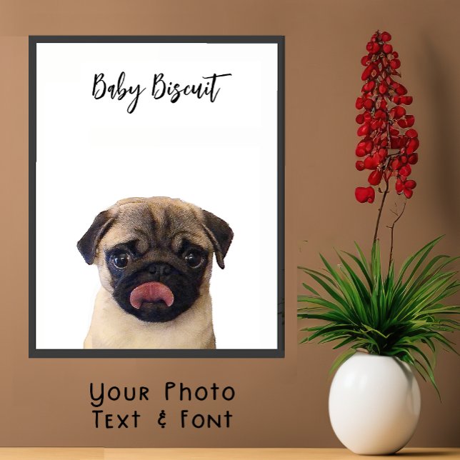 Niedliches Baby Biscuit Mops Portrait Poster (Von Creator hochgeladen)