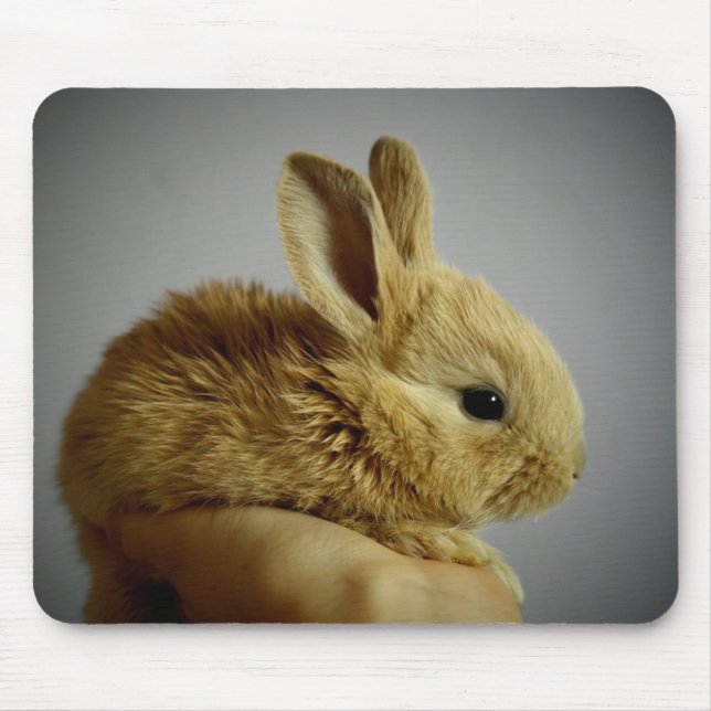 Niedliches Baby Bunny Kanbit in der Hand Mousepad (Vorne)
