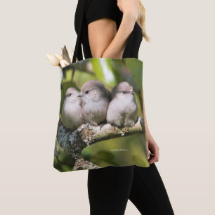 Niedliches Baby Bushtit Songbird im Birnbaum