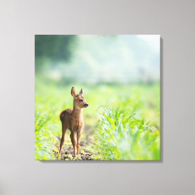 Niedliches Baby Deer Fawn in Gras Naturfotografie Leinwanddruck (Vorderseite)
