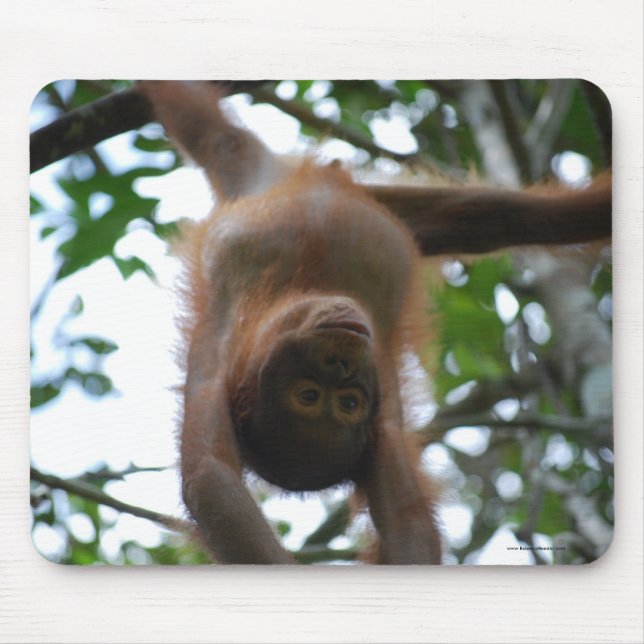 Niedliches Baby: Dschungel-wilde Tiere Mousepad (Vorne)