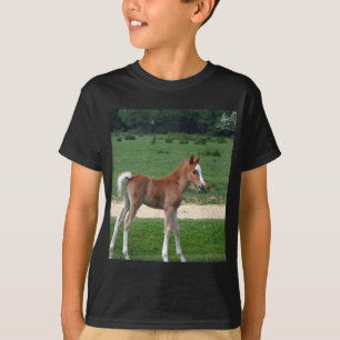 Niedliches Baby Foal Destinable Geschenke Springti T-Shirt