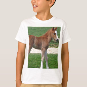 Niedliches Baby Foal Destinable Geschenke Springti T-Shirt