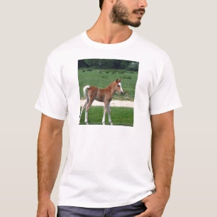 Niedliches Baby Foal Destinable Geschenke Springti T-Shirt