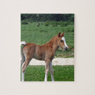 Niedliches Baby-Fohlen-Schicksals-Geschenk-Frühjah Puzzle
