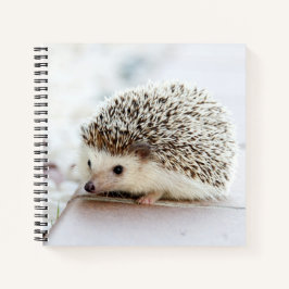Niedliches Baby-Igel-Notebook Notizbuch