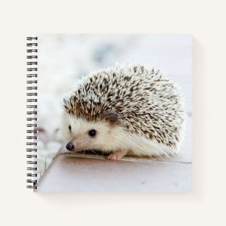 Niedliches Baby-Igel-Notebook Notizbuch