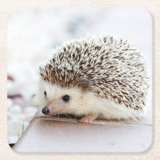 Niedliches Baby-Igel Tier Rechteckiger Pappuntersetzer