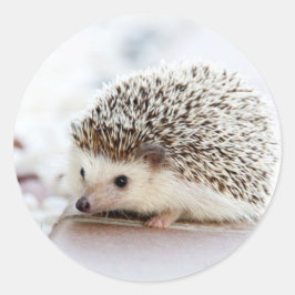 Niedliches Baby Igel Tier Runder Aufkleber
