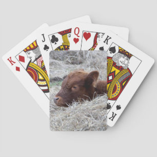 Niedliches Baby-Kalb, Hof-Tierspielkarten Spielkarten
