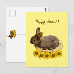 Niedliches Baby-Kaninchen - Osterhasen Postkarte