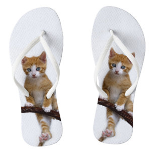 Niedliches Baby-Katzen-Kätzchen-lustiges Flip Flops