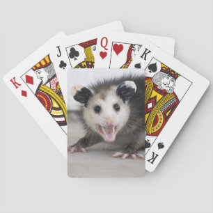 Niedliches Baby Opossum Foto Spielkarten