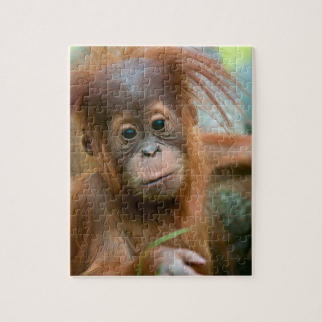 Niedliches Baby Orangutan mit Blick nach vorne Puzzle (Vertikal)