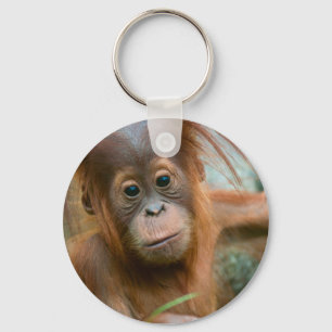 Niedliches Baby Orangutan mit Blick nach vorne Schlüsselanhänger