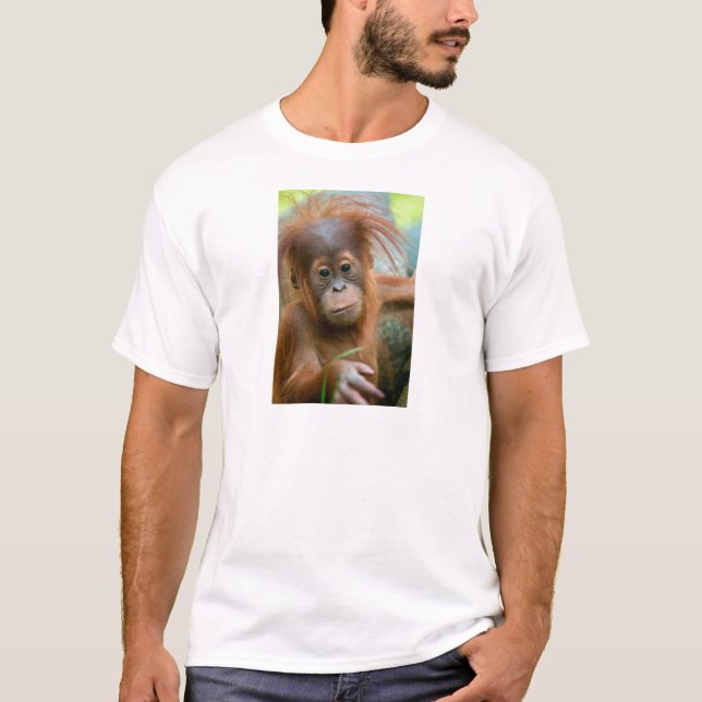 Niedliches Baby Orangutan mit Blick nach vorne T-Shirt (Vorderseite)