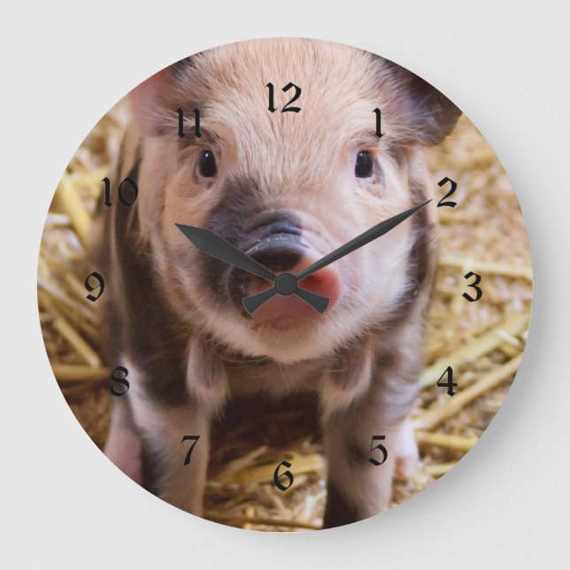 Niedliches Baby Piglet Farm Animals Barnyard Babys Große Wanduhr (Vorderseite)