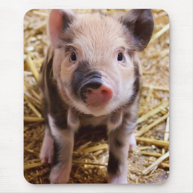 Niedliches Baby Piglet Farm Animals Barnyard Babys Mousepad (Vorne)
