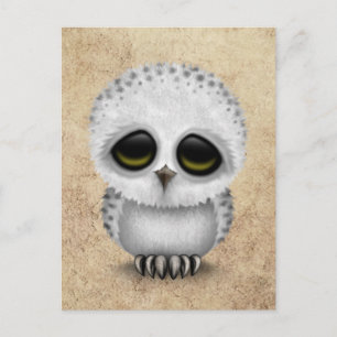 Niedliches Baby Snowy Owl Chic auf Age Texture Postkarte