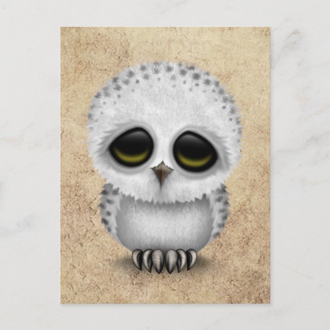 Niedliches Baby Snowy Owl Chic auf Age Texture Postkarte (Vorderseite)