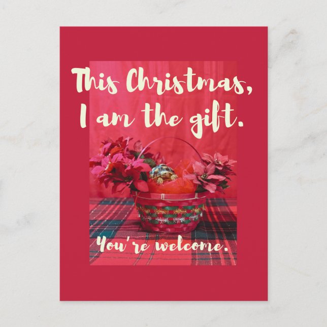 Niedliches Baby Sulcata Tortoise in Poinsettia Kor Postkarte (Vorderseite)