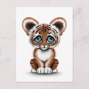 Niedliches Baby Tiger Cube mit blauen Augen auf We Postkarte