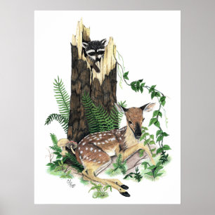 Niedliches Baby Whitetail Deer Fawn und Raccoon Pr Poster