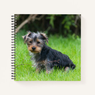 Niedliches Baby Yorkshire Terrier Welpe traurige A Notizbuch