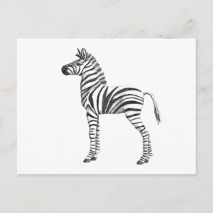 Niedliches Baby Zebra Zeichnend Postkarte