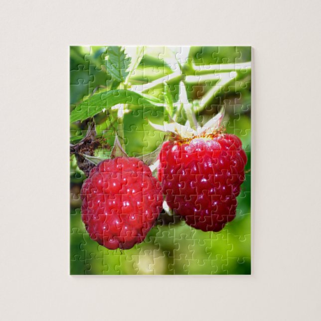 Niedliches Beeren Foto Himbeeren BlackBerry Obst Puzzle (Vertikal)