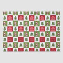 Niedliches Begleiter Foto Roter Grüner Weihnachtsb